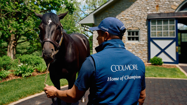 Coolmore Stallion Prints