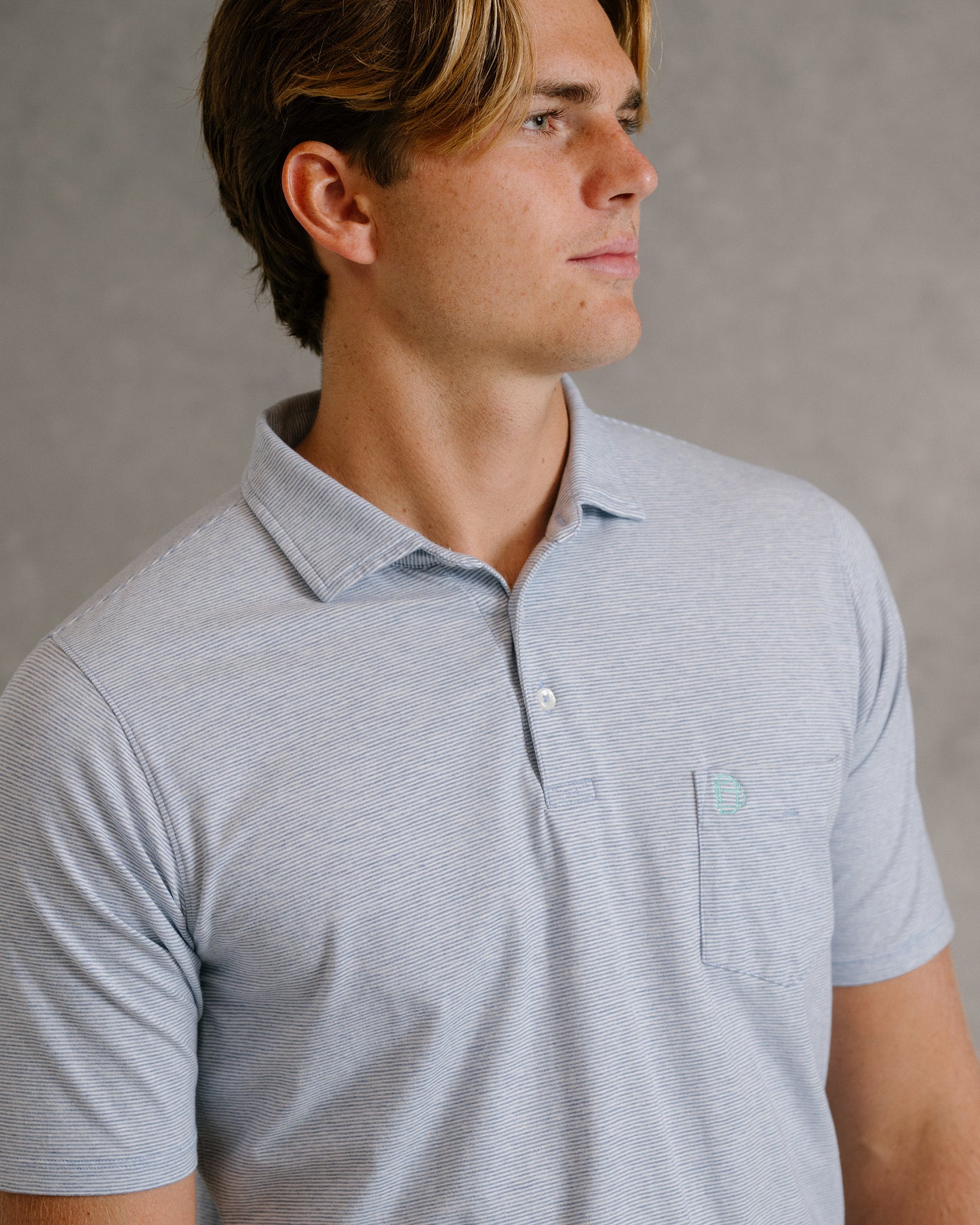 VIN POLO