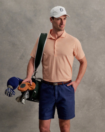 INDIAN SUMMER HEATHER