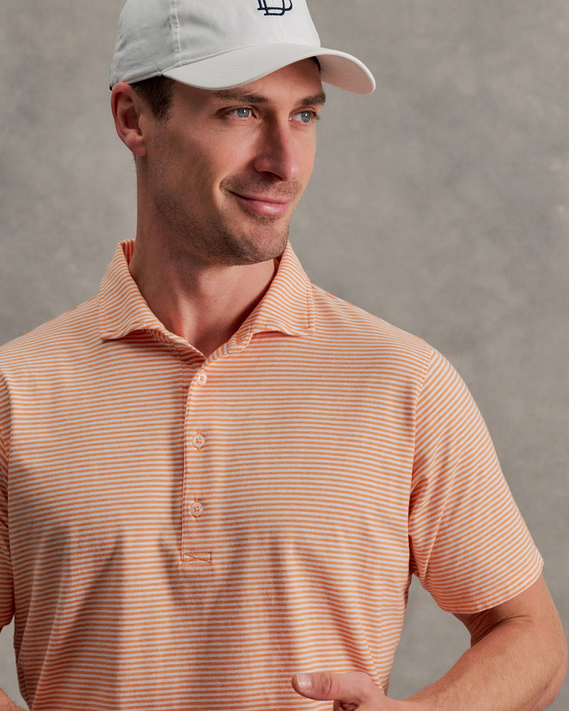 INDIAN SUMMER HEATHER