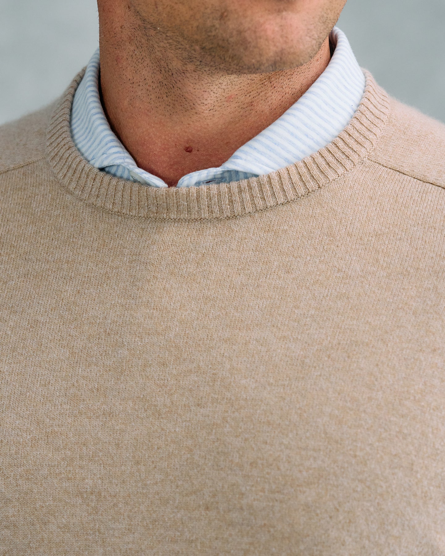 CAMEL HEATHER