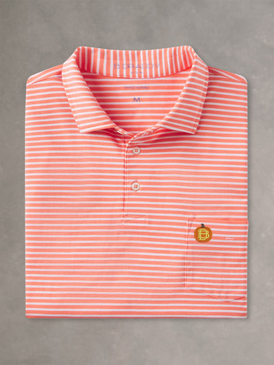 TOMMY POLO | PUMPKIN | SANDY LANE