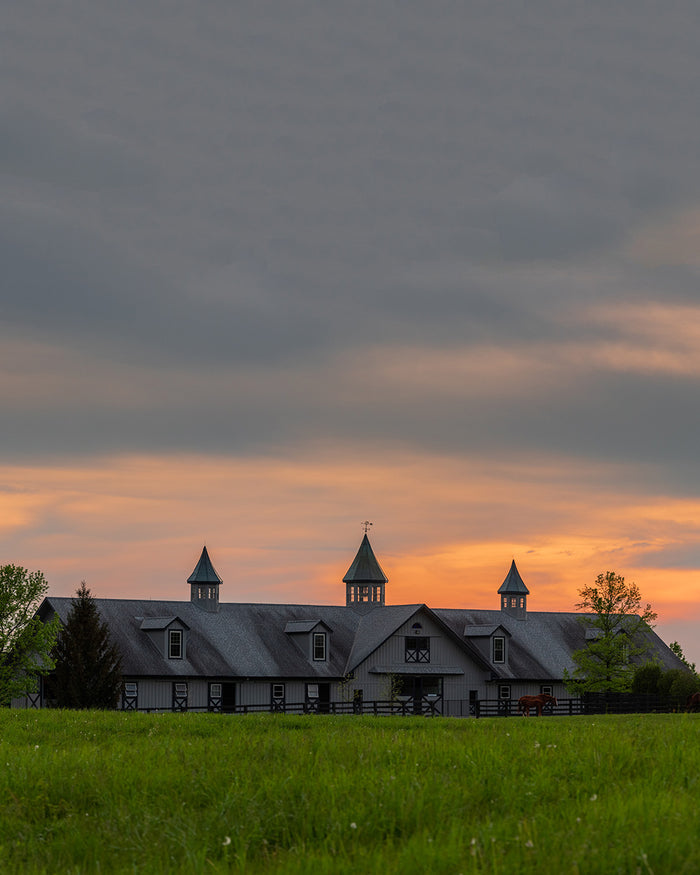 THE COOLMORE COLLECTION